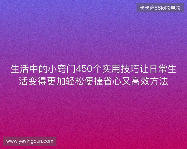 生活中的小窍门450个实用技巧让日常生活变得更加轻松便捷省心又高效方法